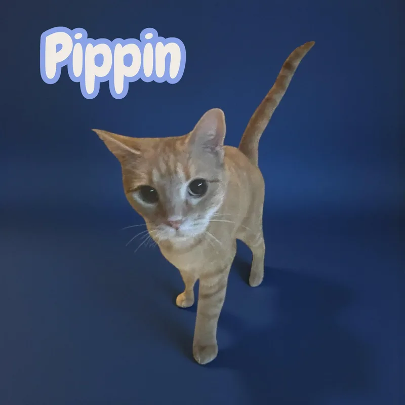 Pippin thumbnail 2