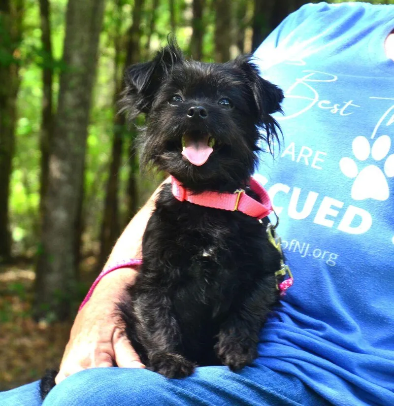Daisy Mae thumbnail 2