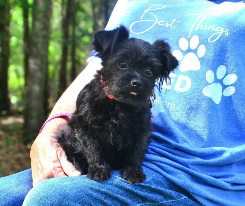Daisy Mae thumbnail 3