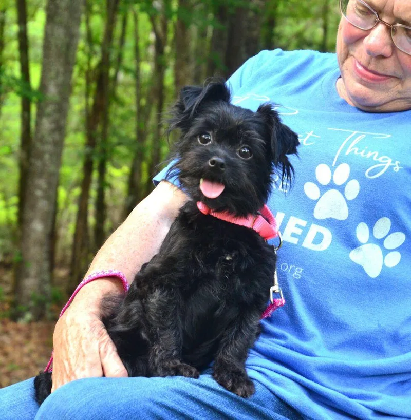 Daisy Mae thumbnail 6