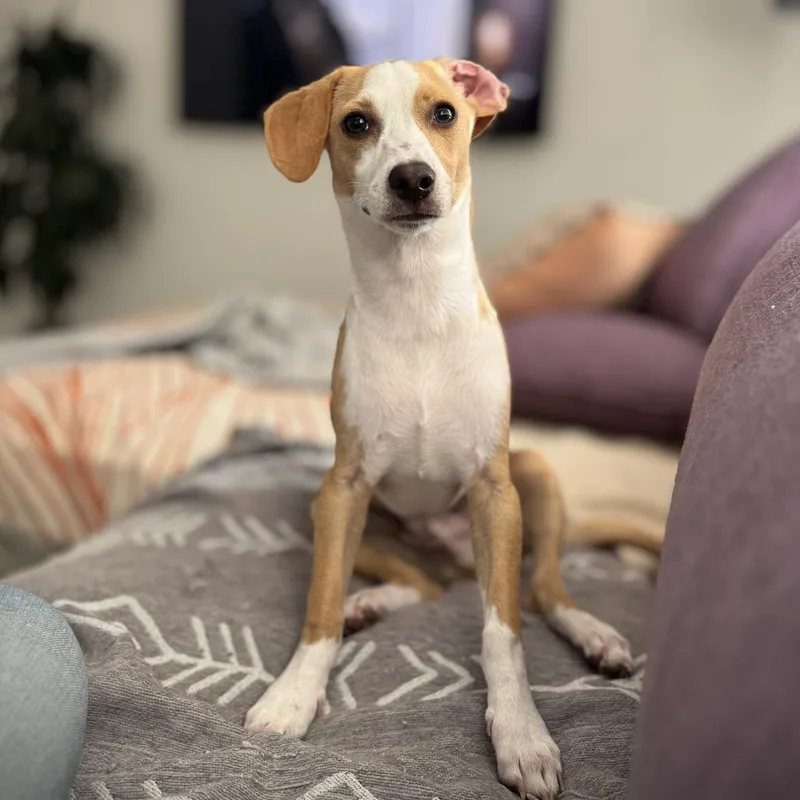 George Darling thumbnail 2