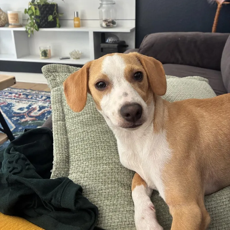 George Darling thumbnail 4