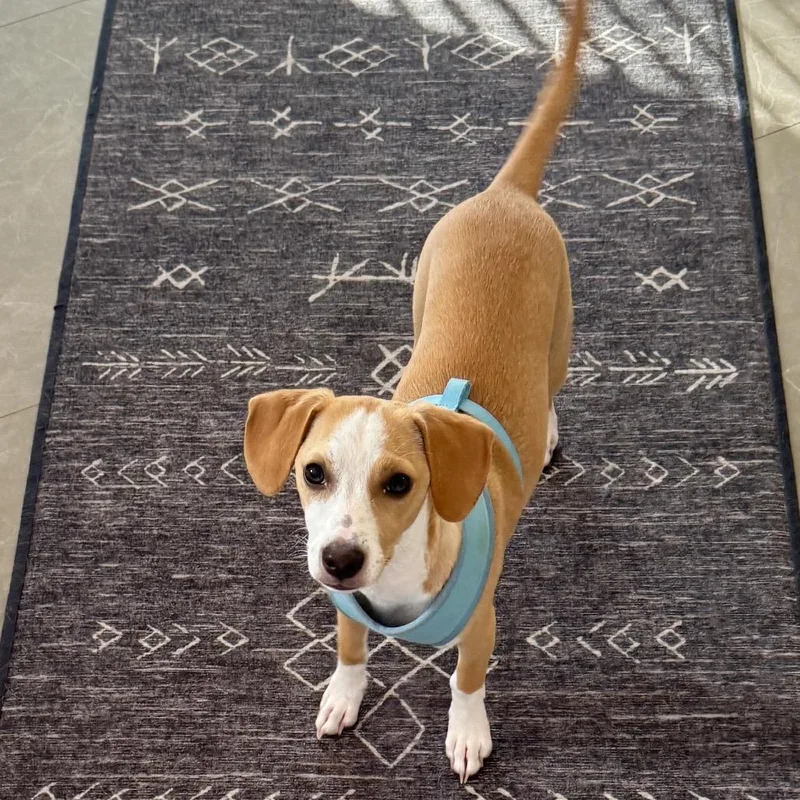 George Darling thumbnail 5