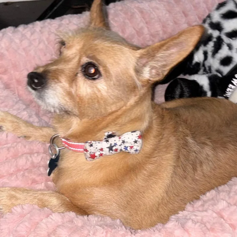 Heidi thumbnail 2