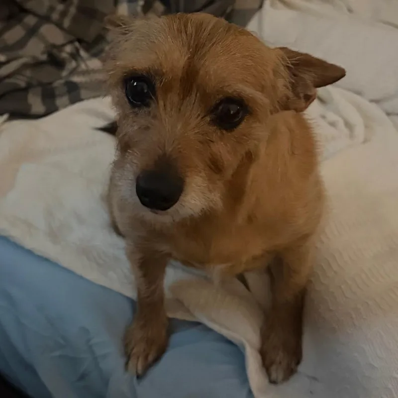 Heidi thumbnail 5