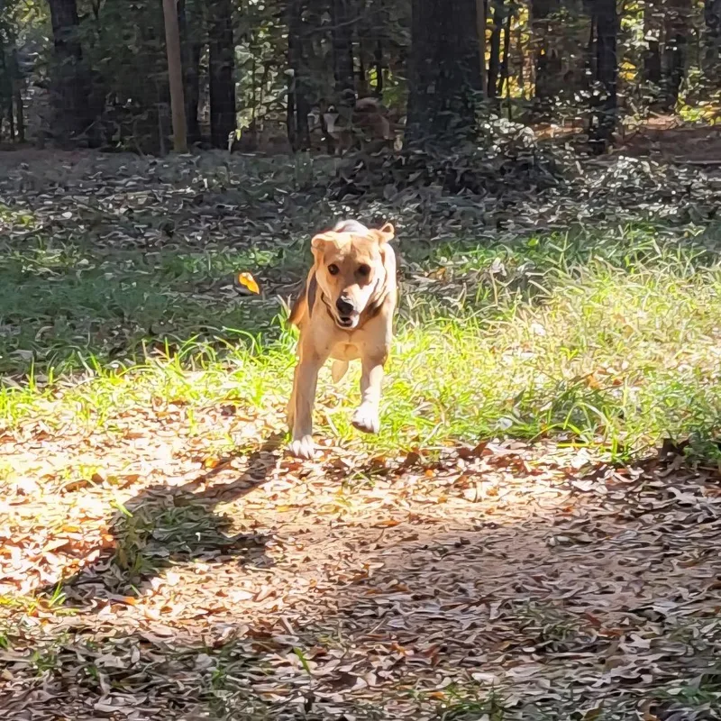 Sadie thumbnail 2