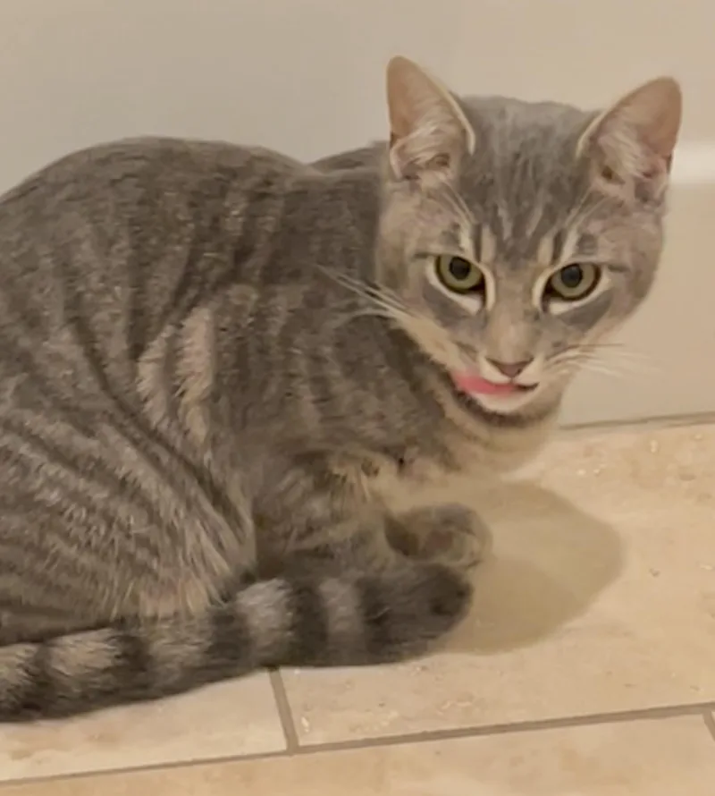 Parker thumbnail 3