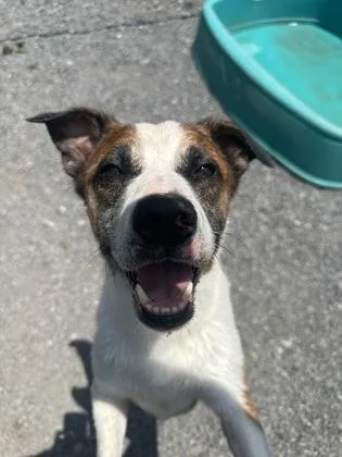 Charles `chuck` thumbnail 2