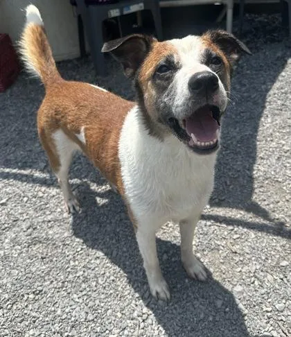 Charles `chuck` thumbnail 3