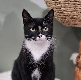 Mr. Pibb & Dr. thumbnail 3