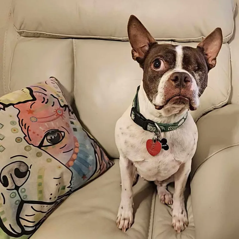 Pixie Lou thumbnail 4