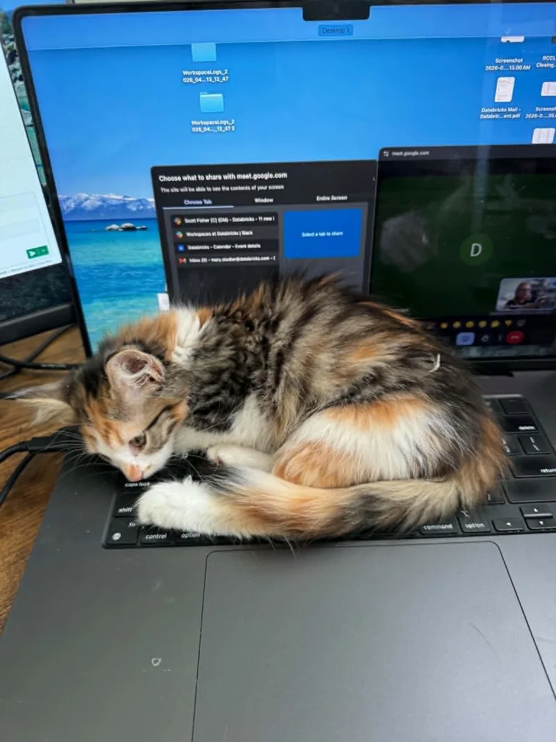 Polly thumbnail 2