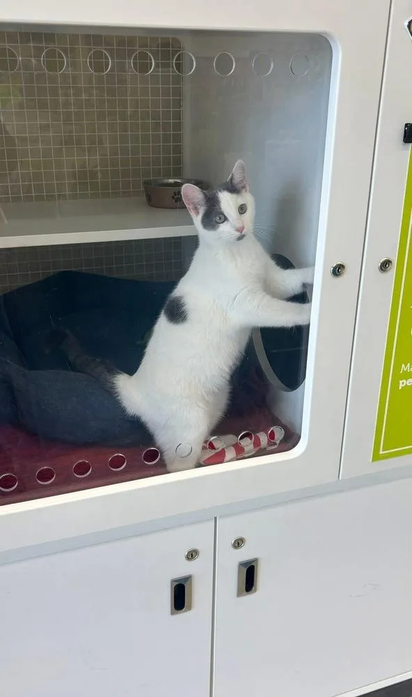 Wednesday thumbnail 4