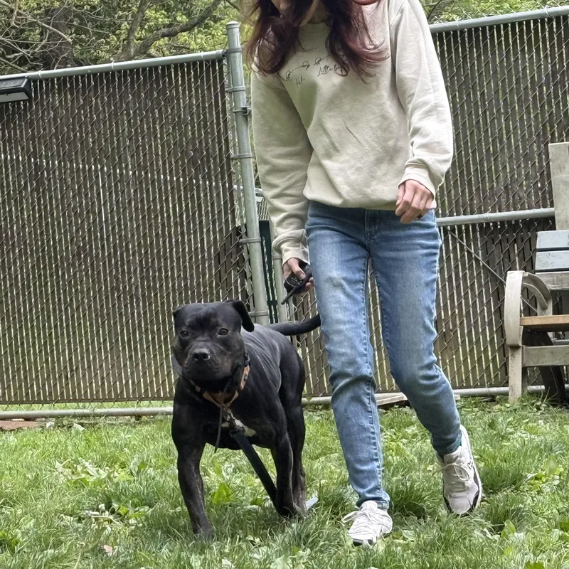 Dottie thumbnail 3