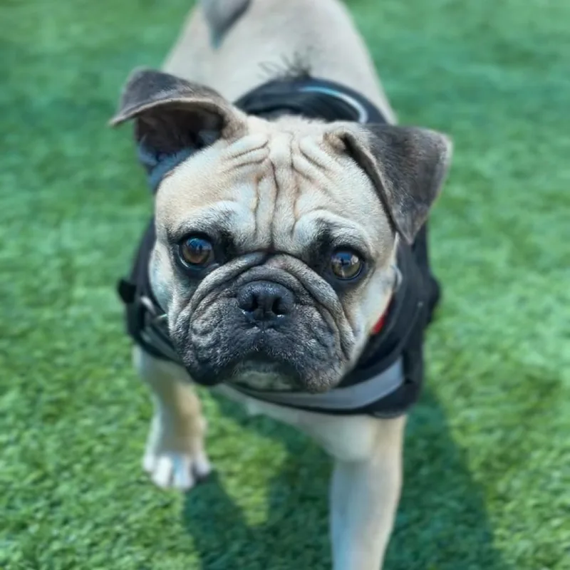 Walter A thumbnail 6