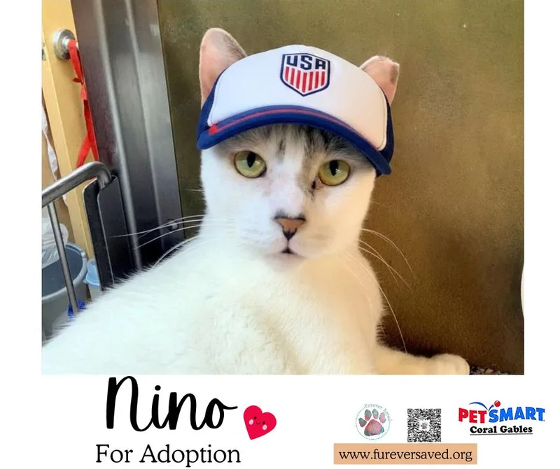 Nino thumbnail 2