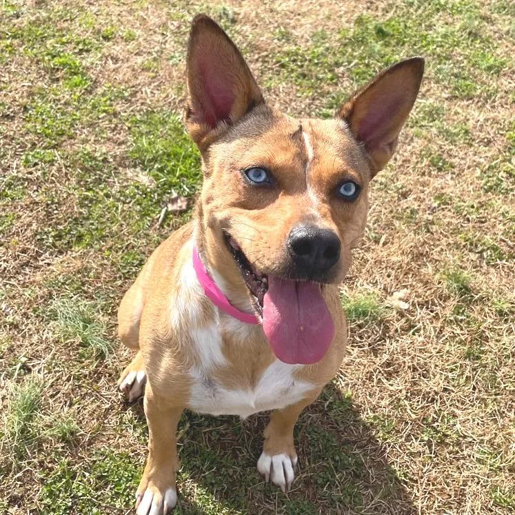 Persephone thumbnail 2