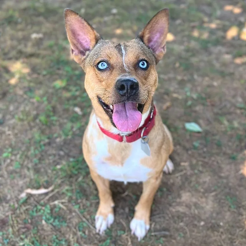 Persephone thumbnail 3