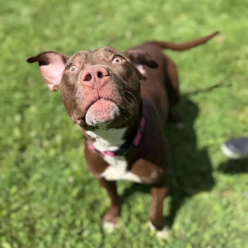 Ellie thumbnail 3