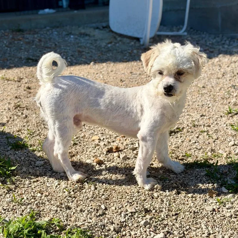 Hero  Missouri Mr thumbnail 3