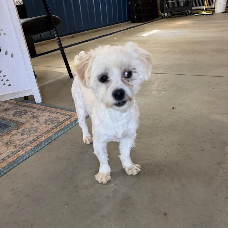 Hero  Missouri Mr thumbnail 5