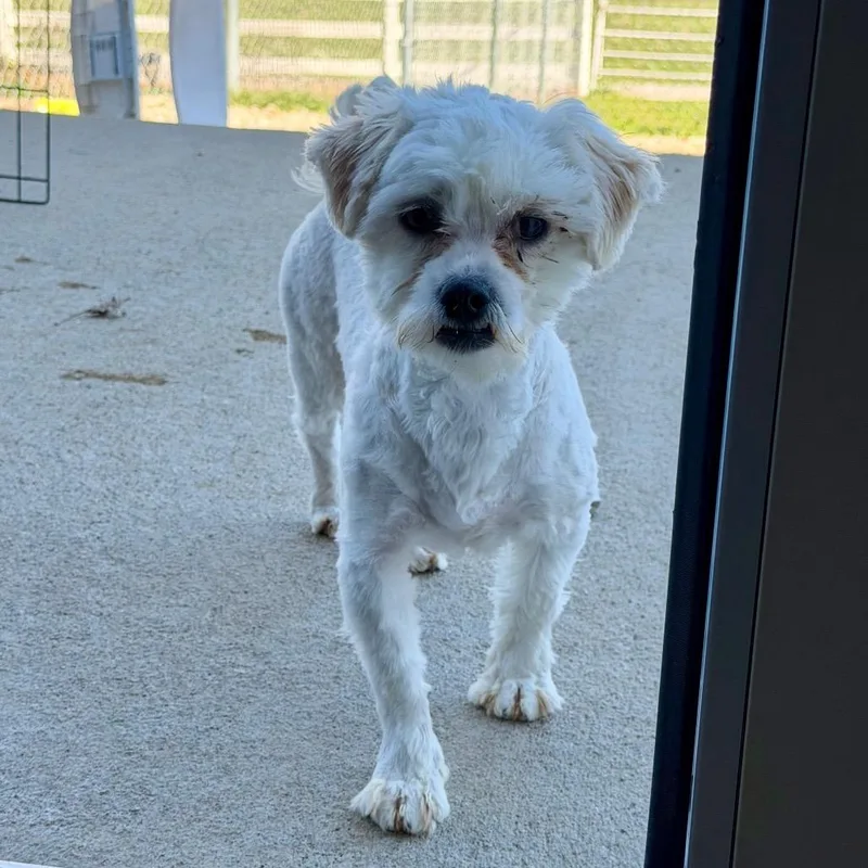 Hero  Missouri Mr thumbnail 6