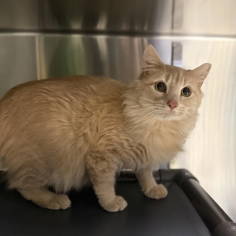 Sunny "sasha" thumbnail 2