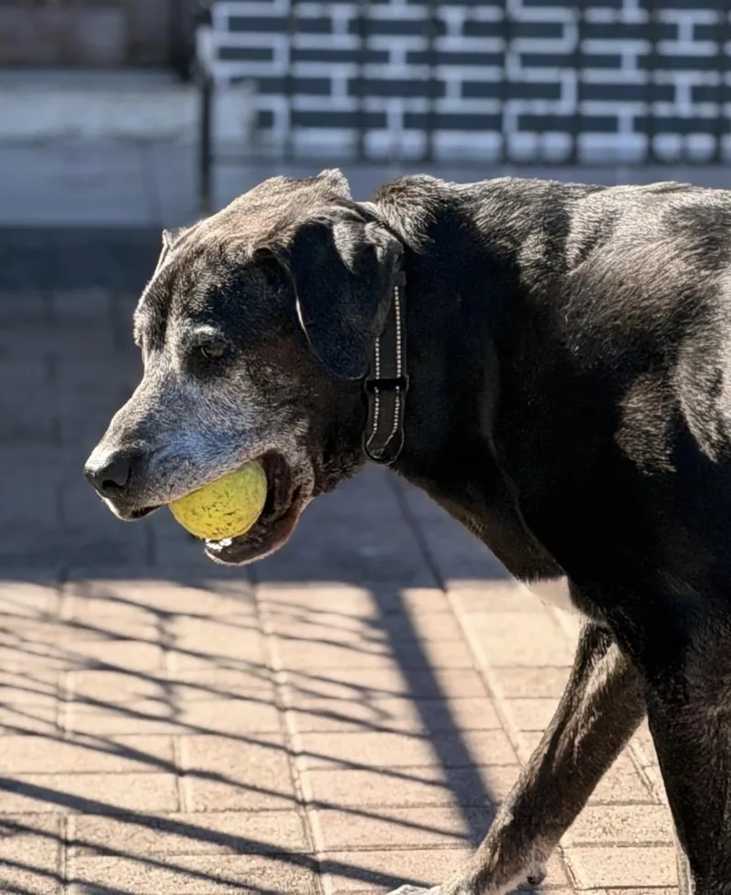 Maya And Jagger thumbnail 2