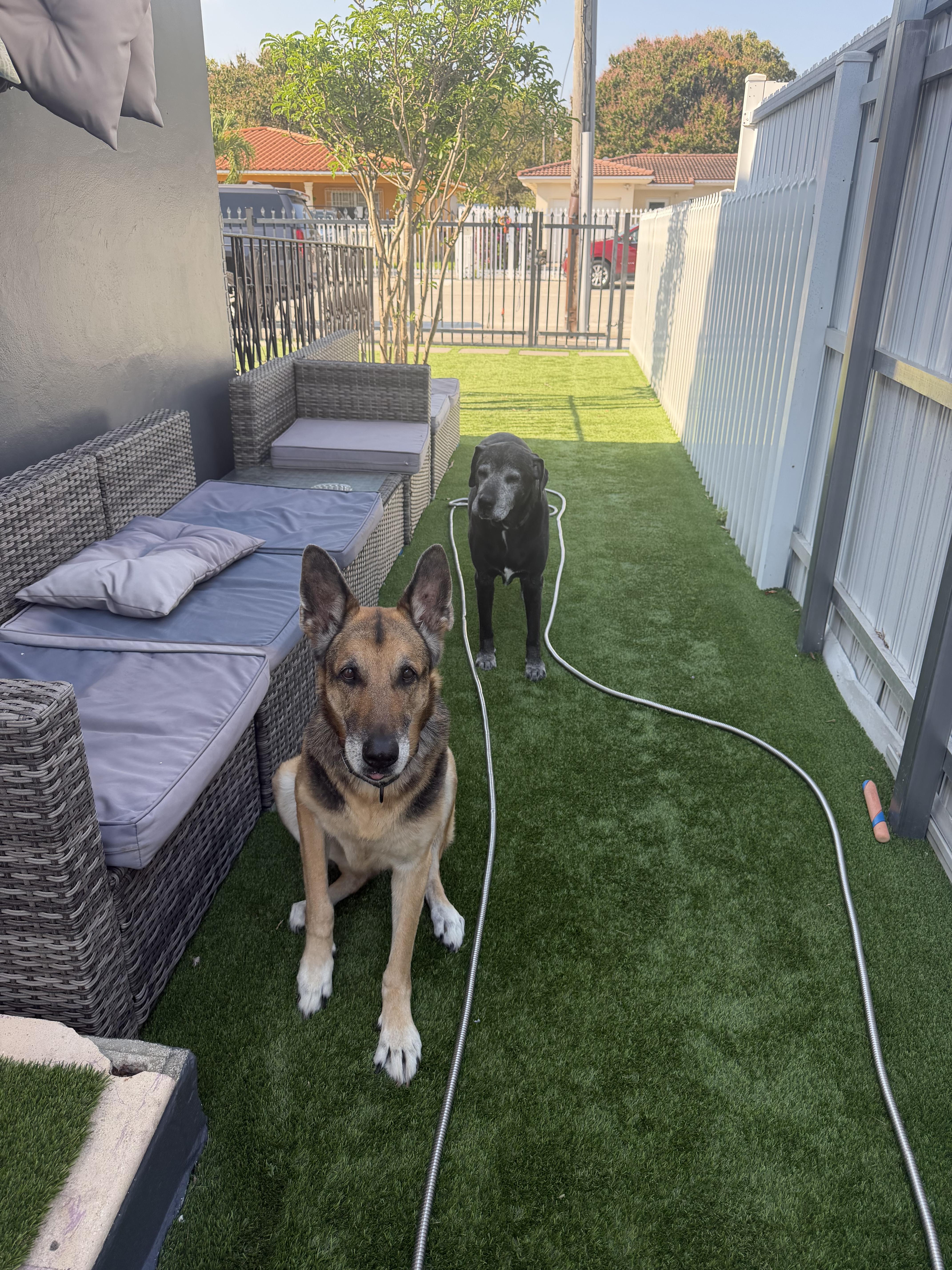 Maya And Jagger thumbnail 3