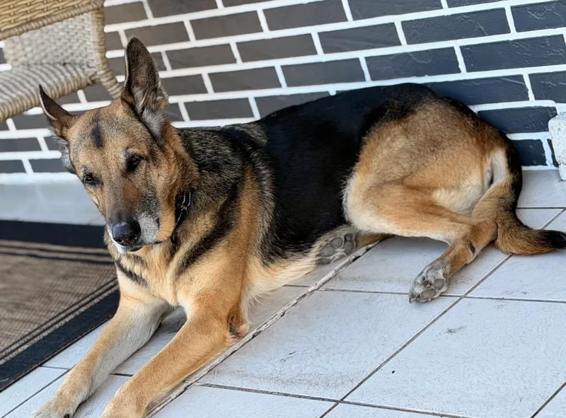 Maya And Jagger thumbnail 4