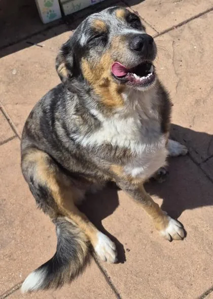 Sammie