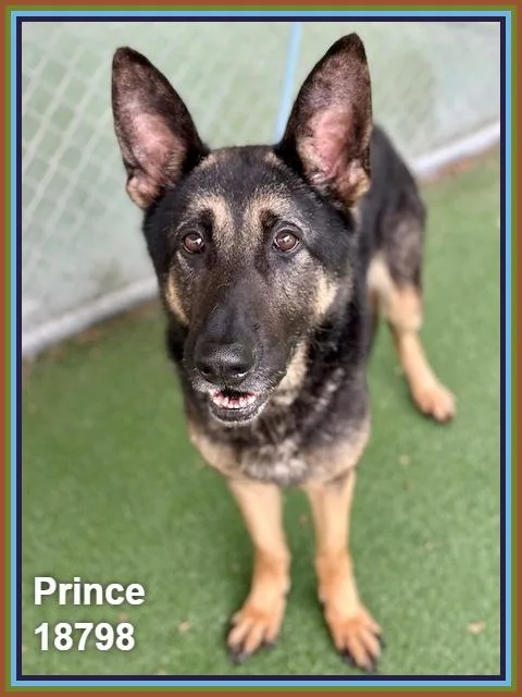 Prince