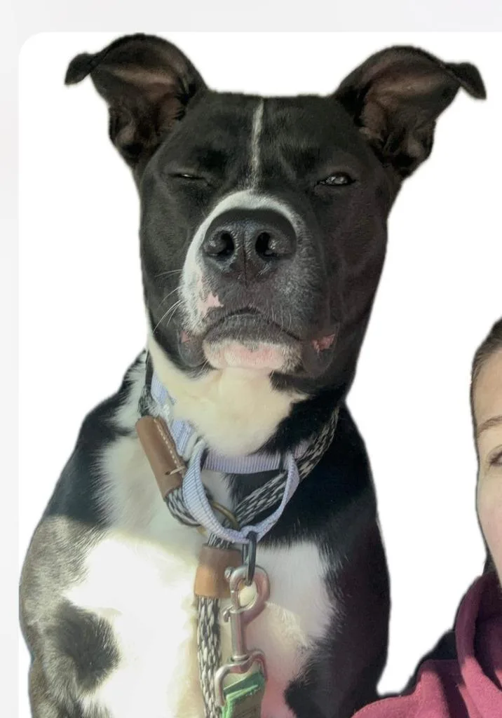 Charles  A thumbnail 2