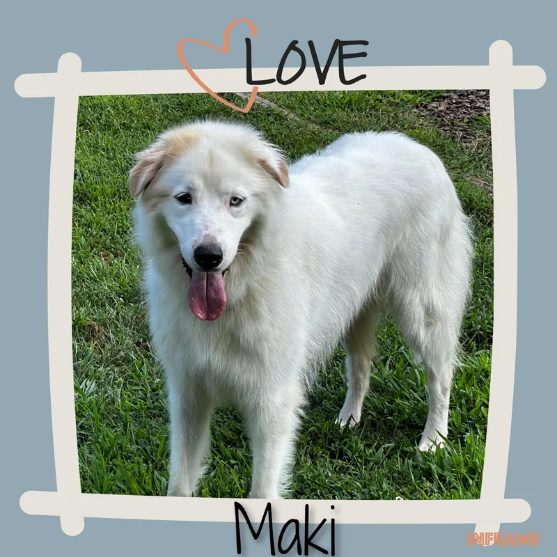 Maki