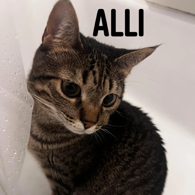 Alli C thumbnail 2