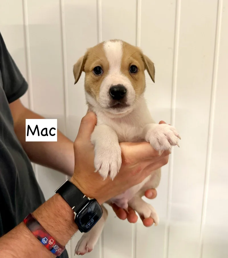 Mac thumbnail 2