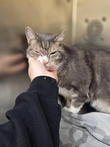 Julian thumbnail 2