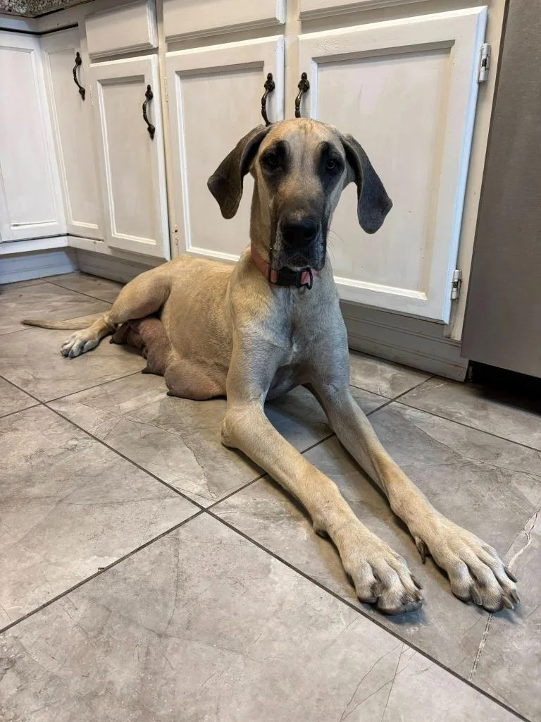 Sam