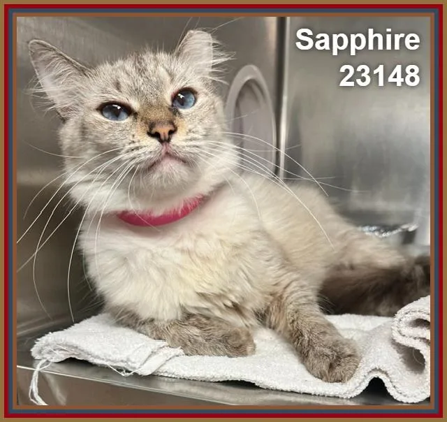 Sapphire thumbnail 2