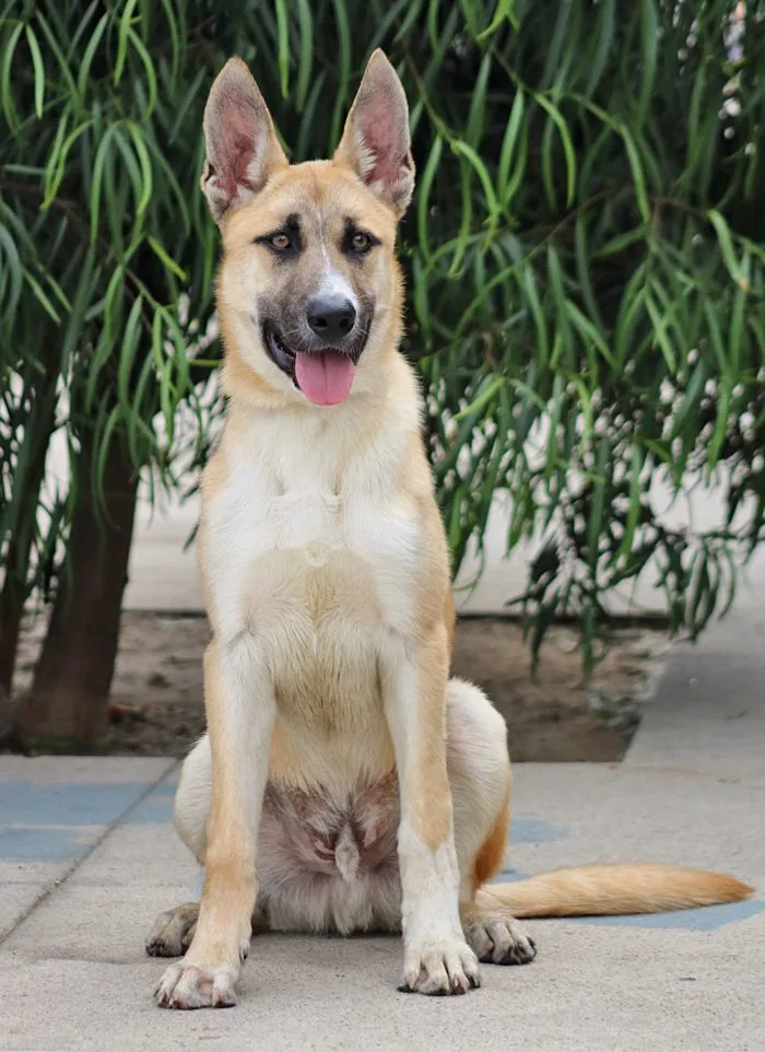 Cabo Von Calden" thumbnail 5