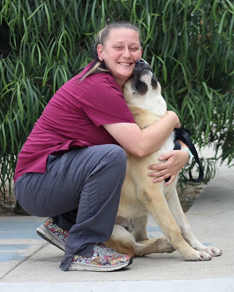 Cabo Von Calden" thumbnail 6