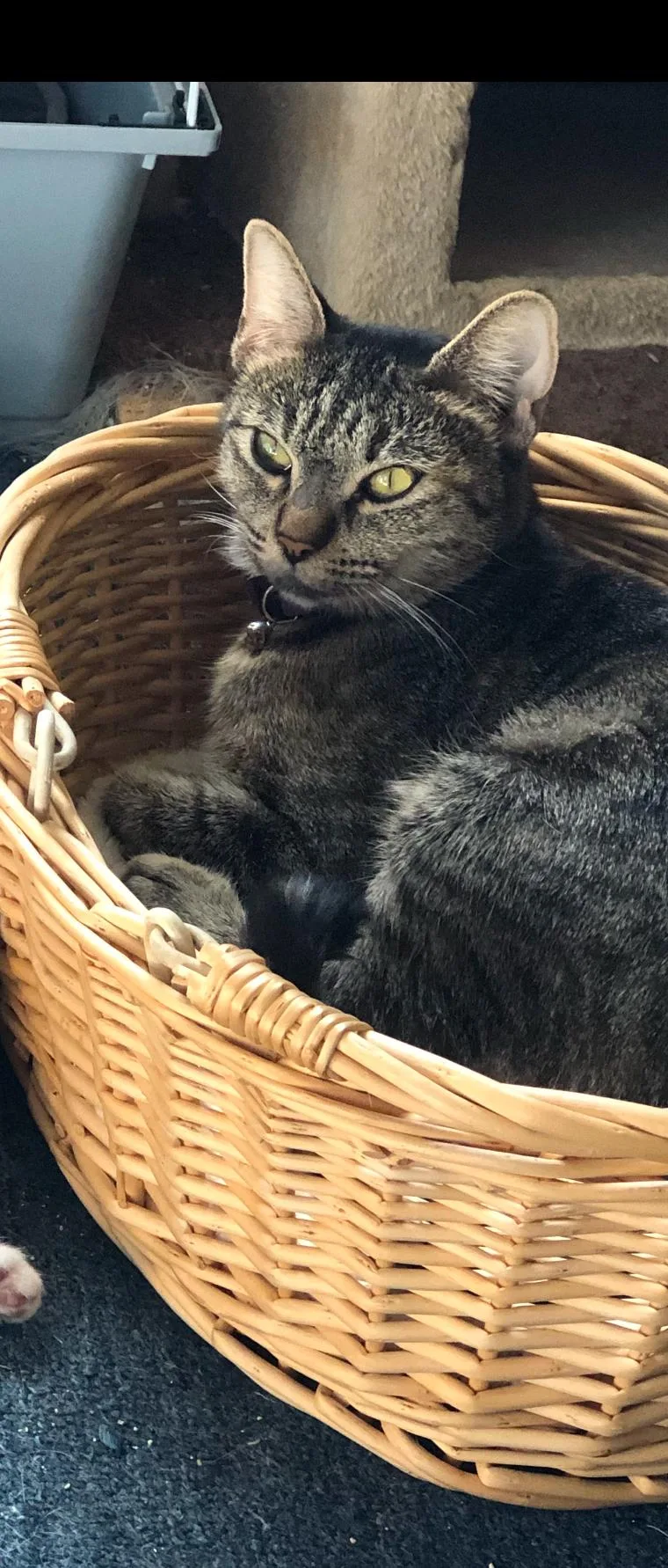 Thumbelina thumbnail 4