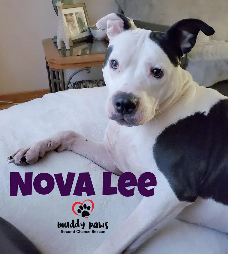 Nova Lee thumbnail 3