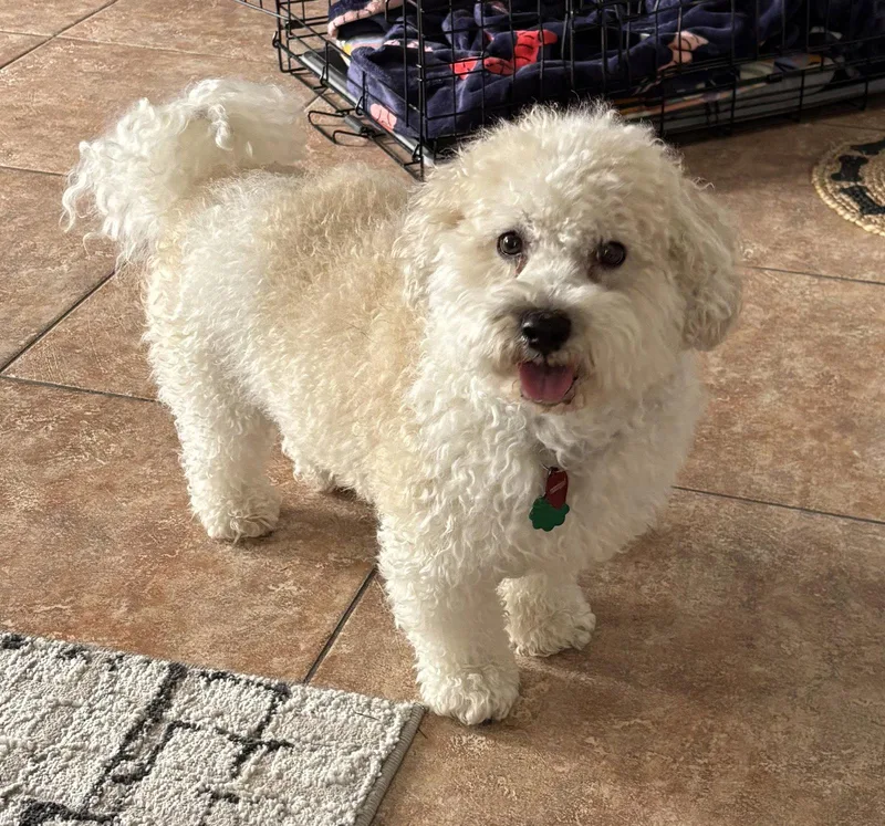 Humphrey In Fl thumbnail 2