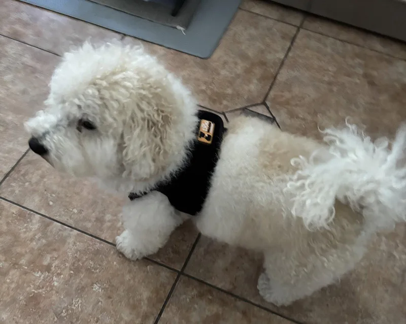 Humphrey In Fl thumbnail 3