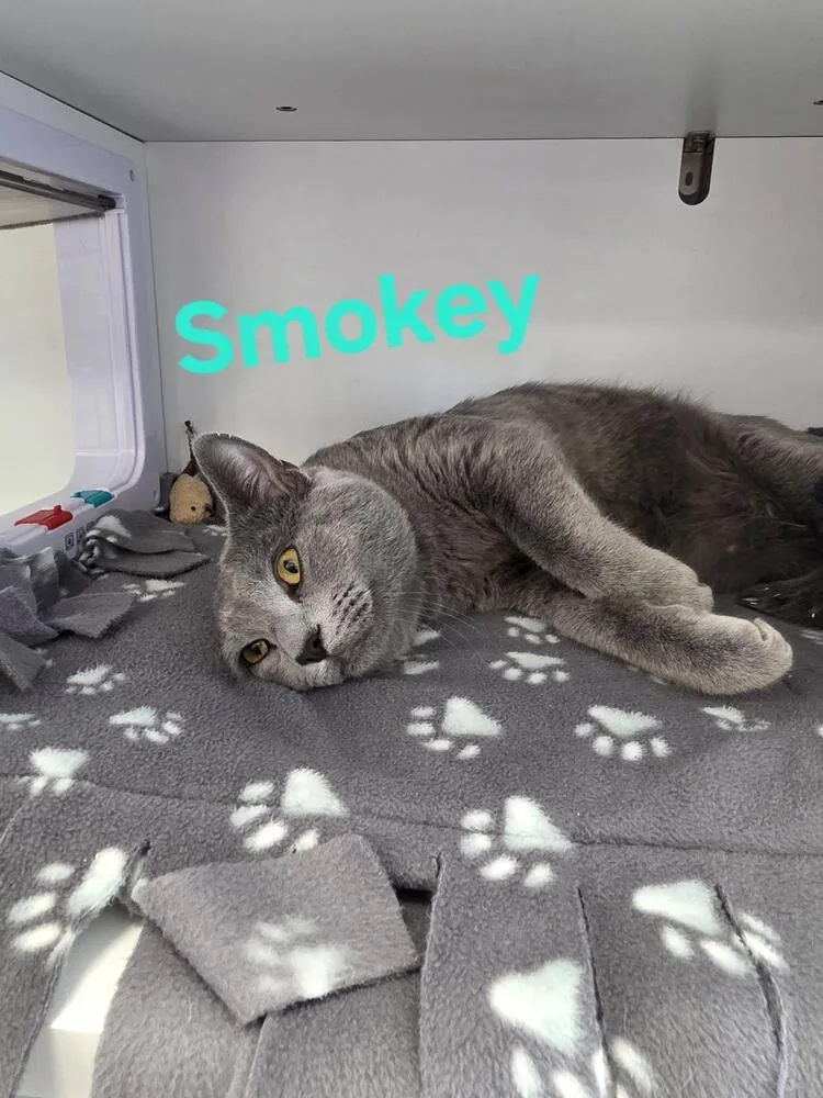 Smokey