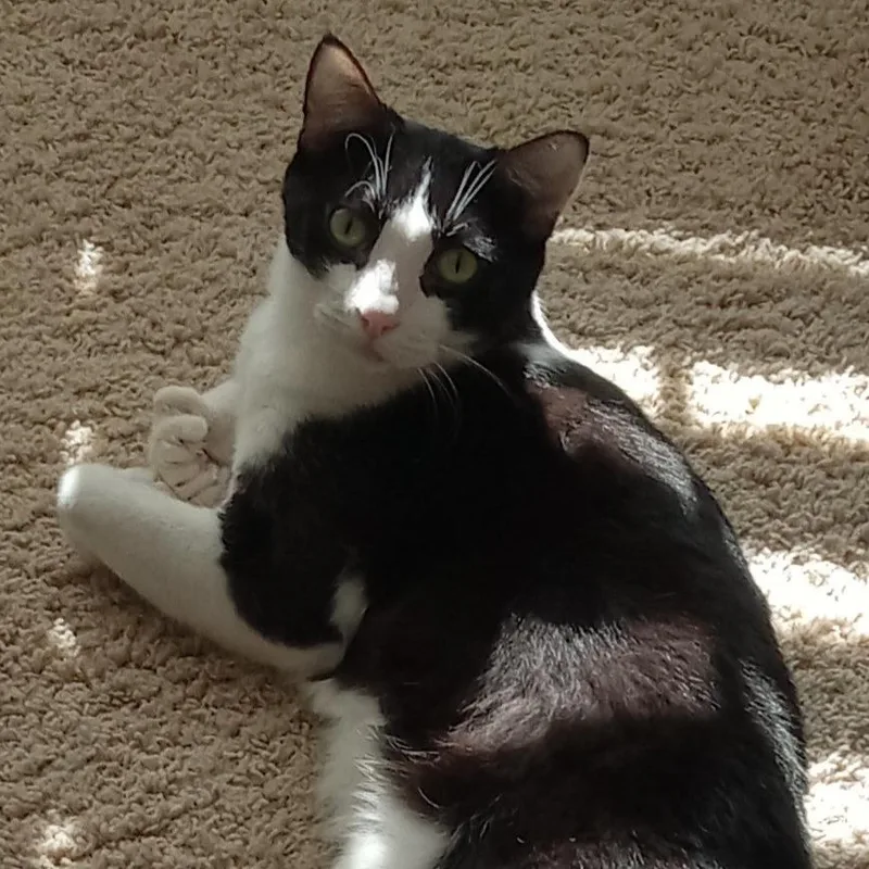 Pepper thumbnail 2