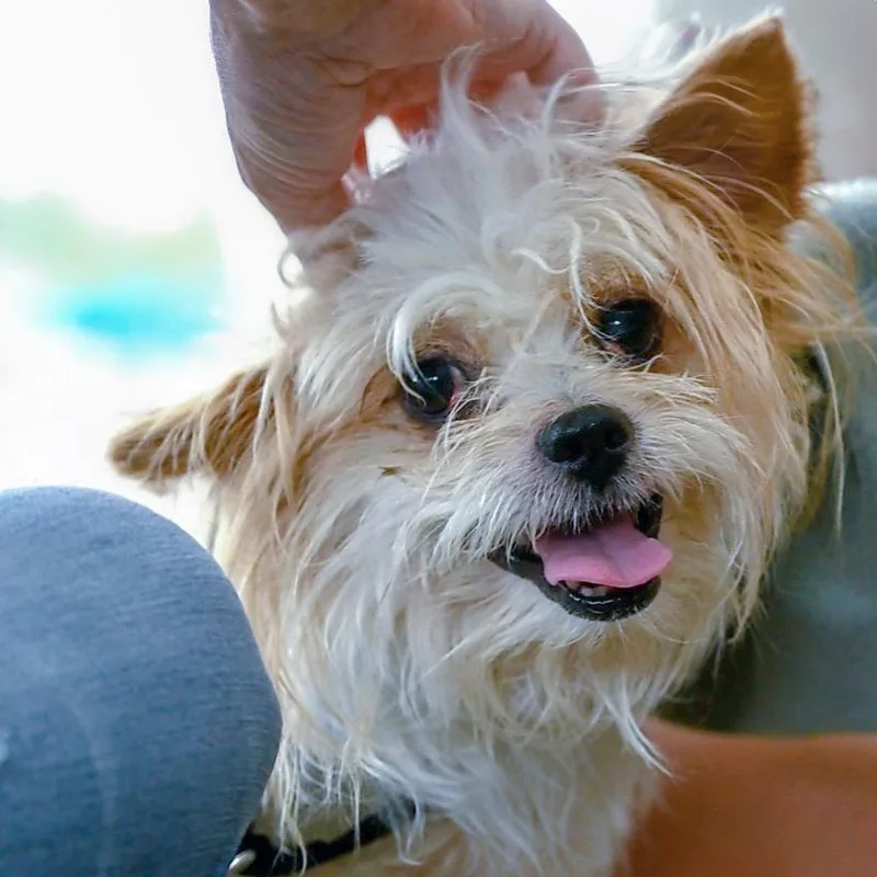Eddie thumbnail 3