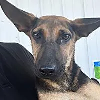 Gabby URGENT