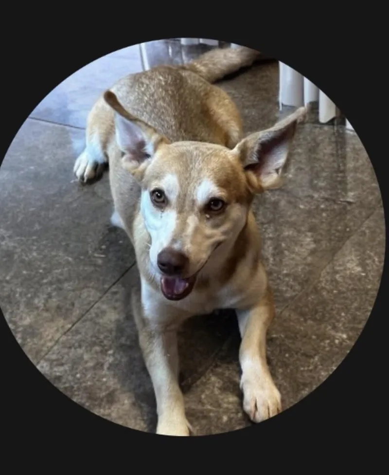 Mia Red Hot thumbnail 3